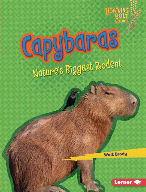Capybaras : Nature's Biggest Rodent, PDF eBook