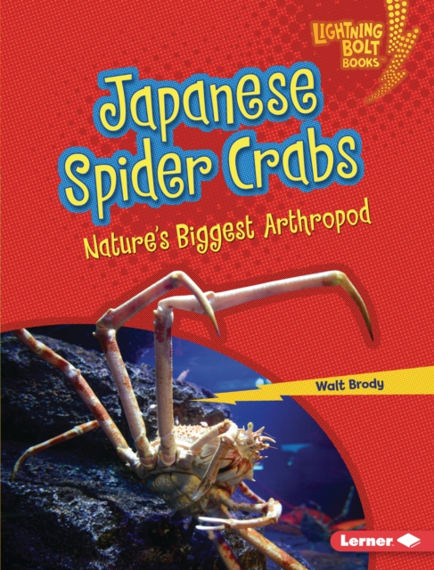 Japanese Spider Crabs : Nature's Biggest Arthropod, PDF eBook