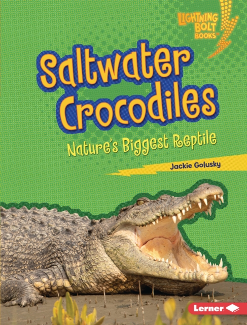 Saltwater Crocodiles : Nature's Biggest Reptile, PDF eBook