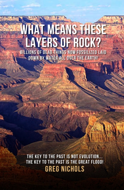 What Means These Layers of Rock?, EPUB eBook