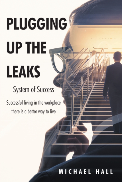 Plugging Up the Leaks : System of Success, EPUB eBook