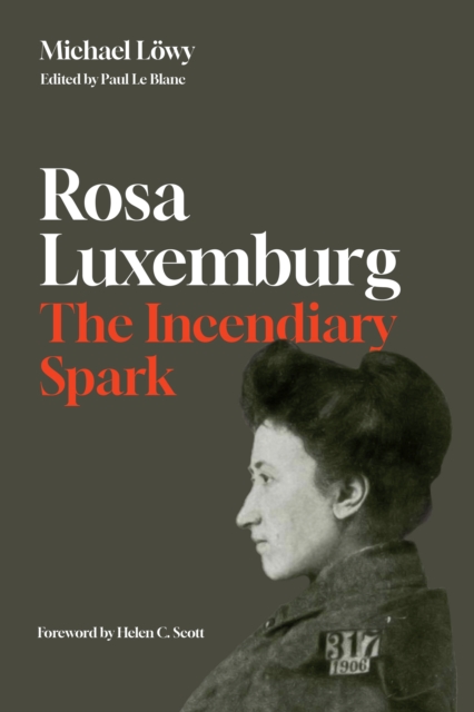 Rosa Luxemburg: The Incendiary Spark : Essays, EPUB eBook