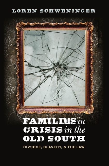 Families in Crisis in the Old South : Divorce, Slavery, and the Law, PDF eBook