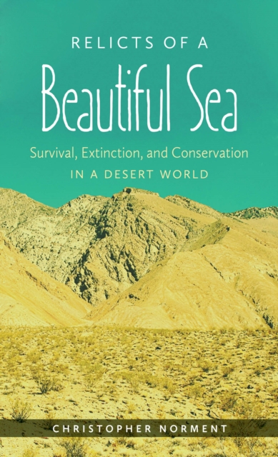 Relicts of a Beautiful Sea : Survival, Extinction, and Conservation in a Desert World, PDF eBook