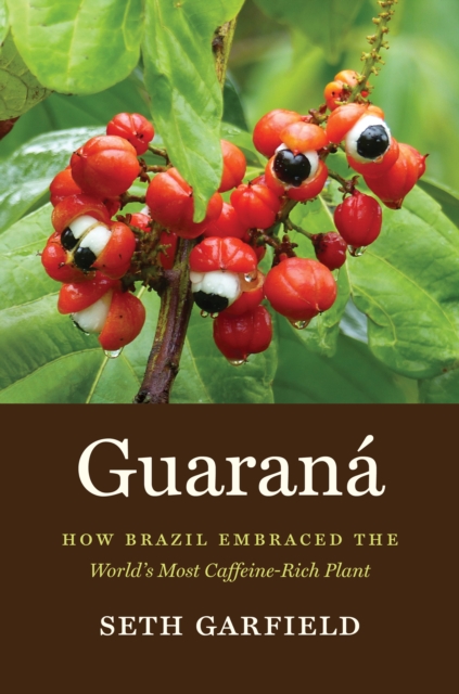 Guarana : How Brazil Embraced the World's Most Caffeine-Rich Plant, PDF eBook