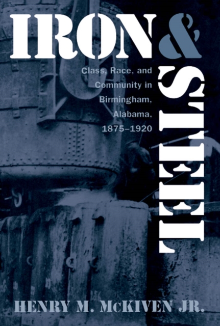Iron and Steel : Class, Race, and Community in Birmingham, Alabama, 1875-1920, PDF eBook