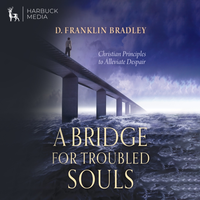 A Bridge For Troubled Souls, eAudiobook MP3 eaudioBook